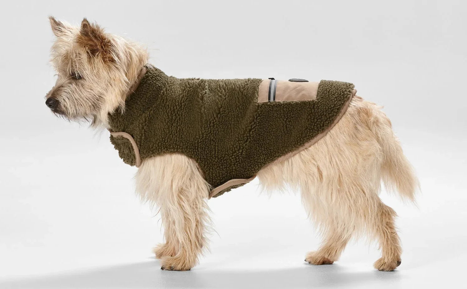 Dog Clothing