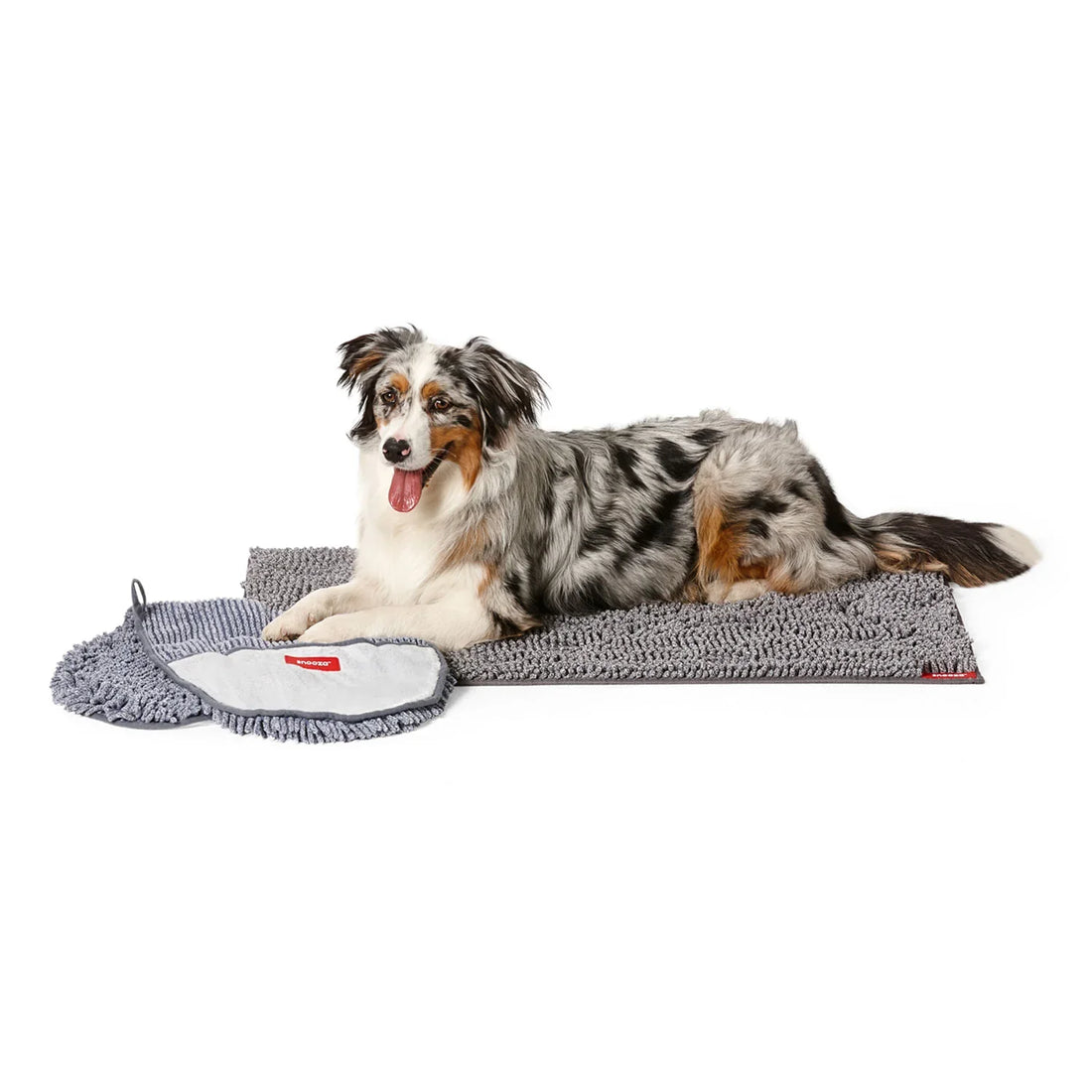 How To Dry Off A Dog Quickly After Swimming?