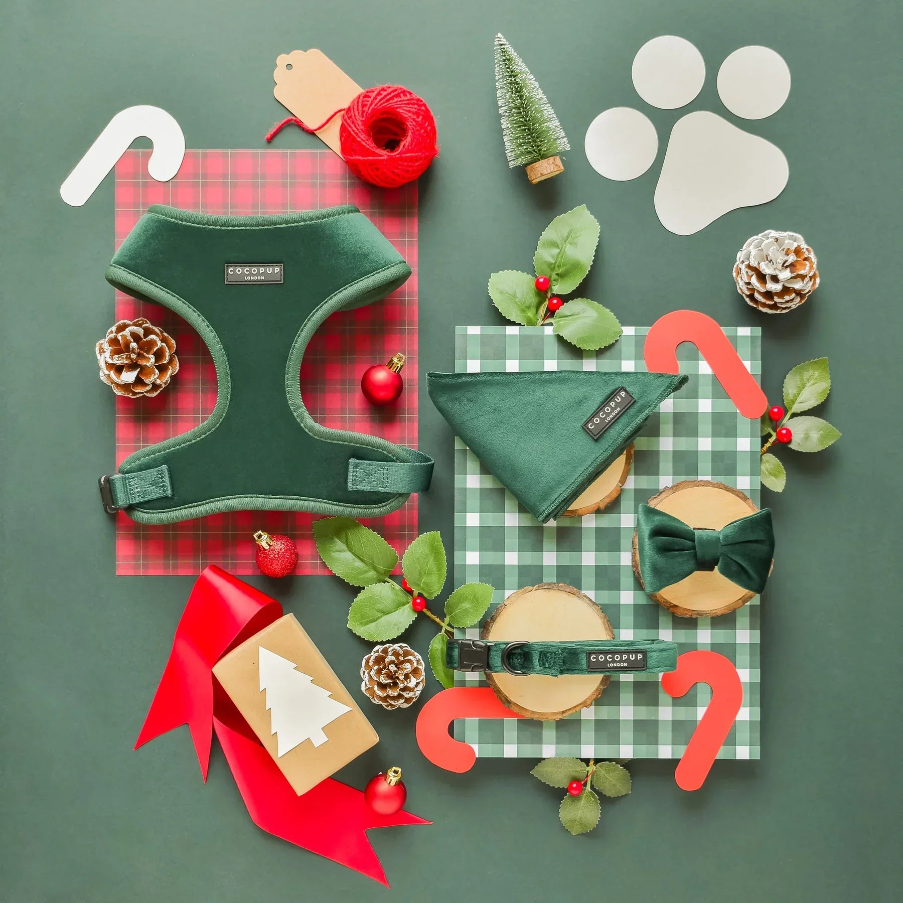 Is Velvet Okay for Dogs? The Truth About This Luxe Pet Trend