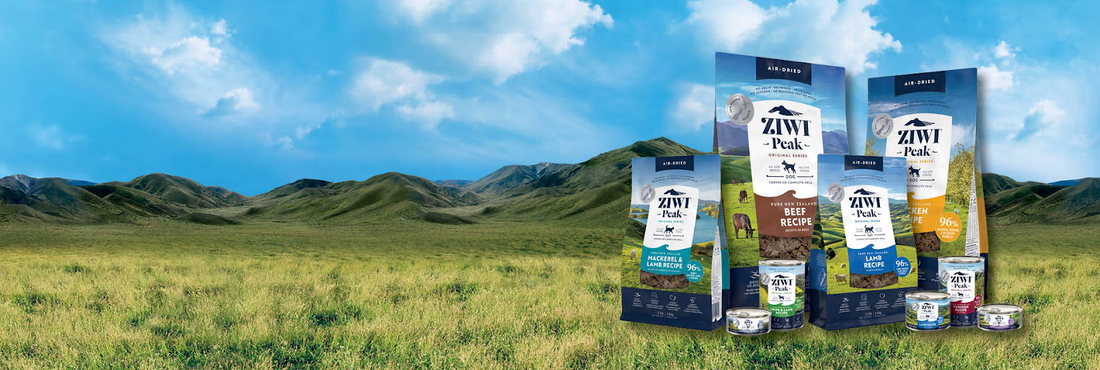 How Much Should I Feed My Dog? Try the ZIWI Feeding Calculator