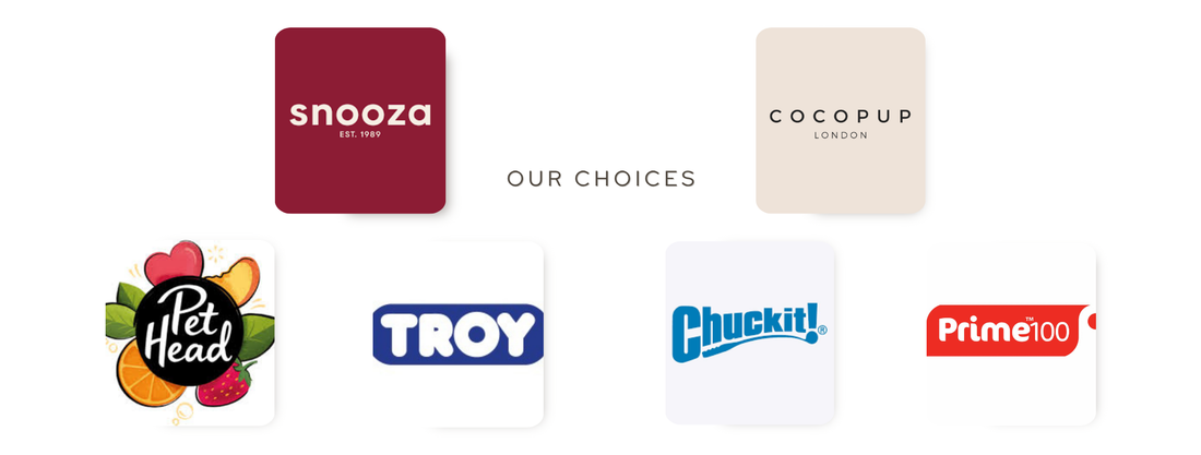 Discover Our Curated Brands: Why We Love Them and Why You Will Too