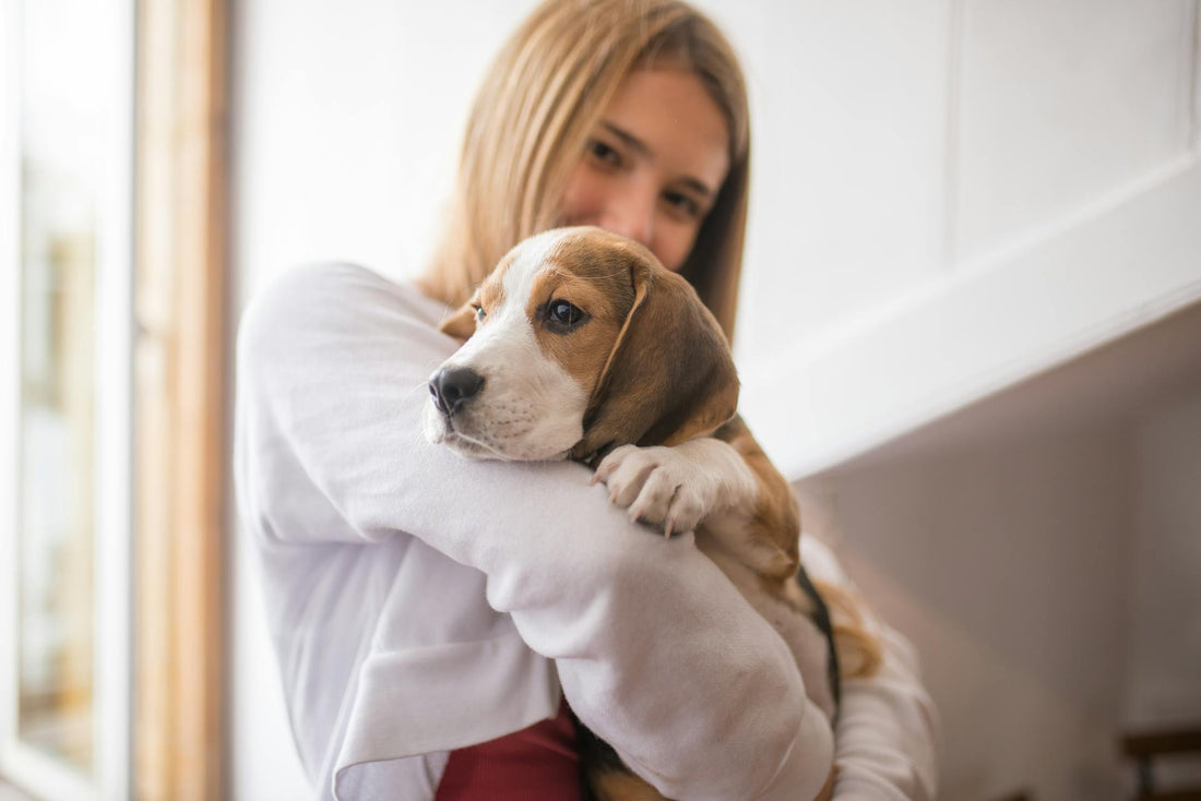 Person contemplating with adorable puppy looking up expectantly