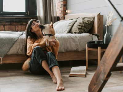 What Your Home Really Needs Before Welcoming a Dog