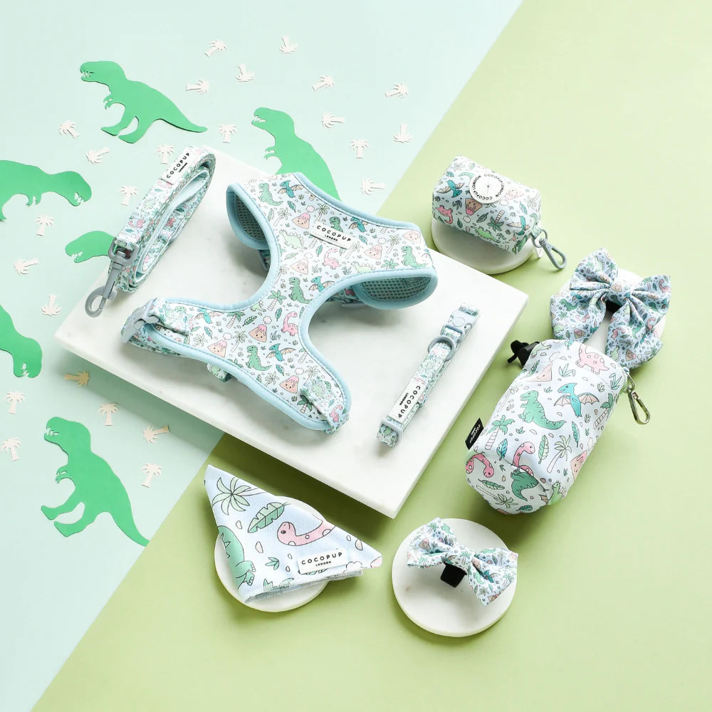 Dog Collar – DinoPaws