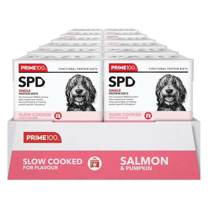 SPD Slow Cooked – Salmon & Pumpkin