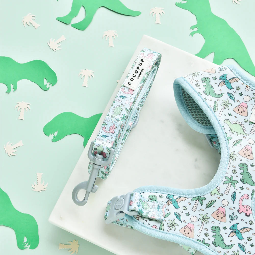 Dog Lead – DinoPaws
