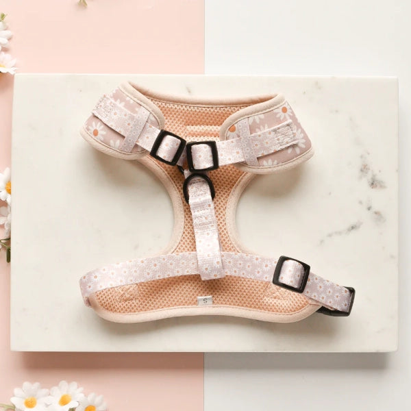Adjustable Neck Harness – Daisy Chain