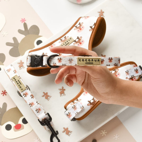 Dog Collar – Ralphie Reindeer