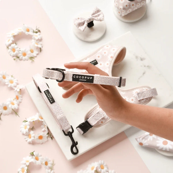 Dog Collar – Daisy Chain