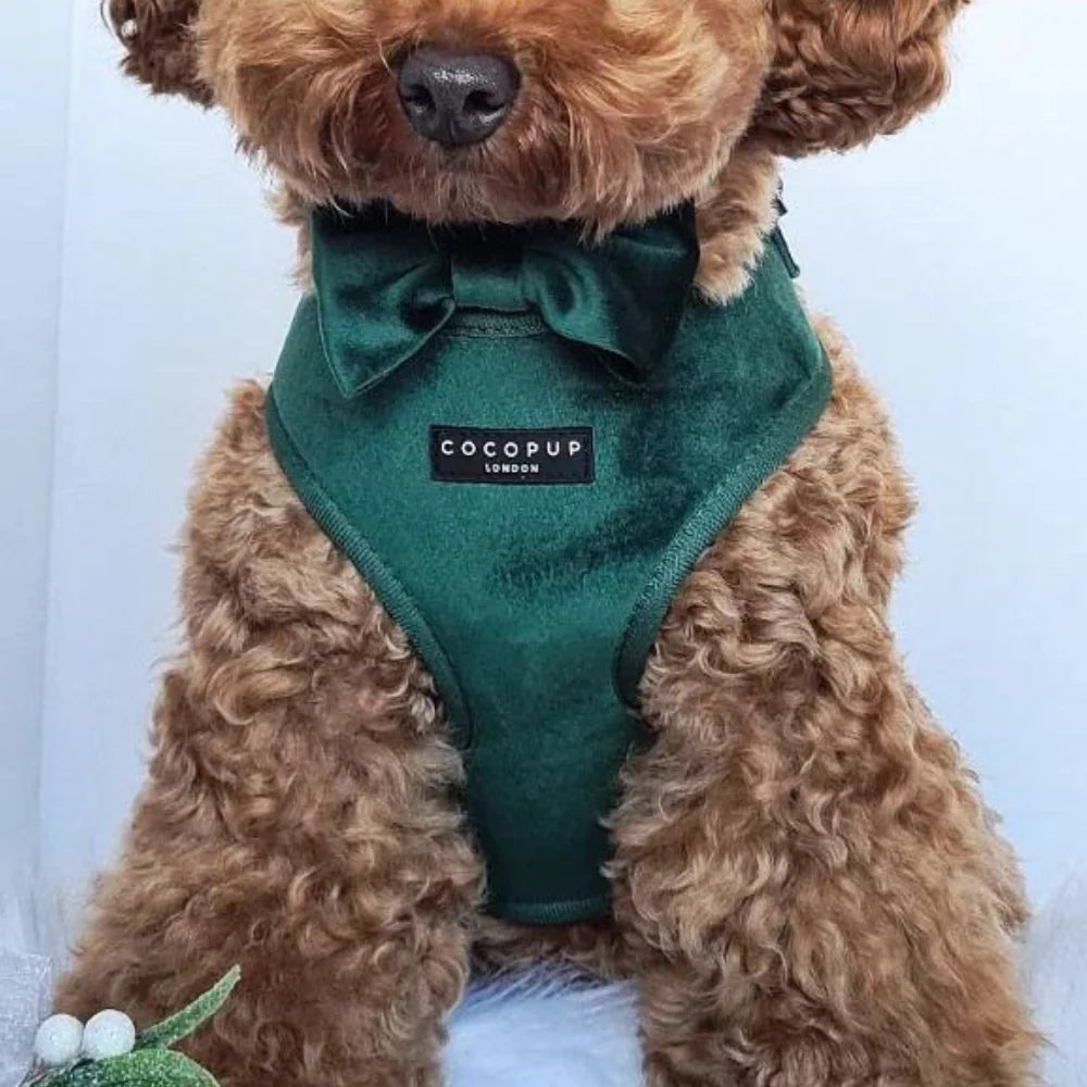 Cocopup London LUXE Bow Tie – Forest Green Velvet