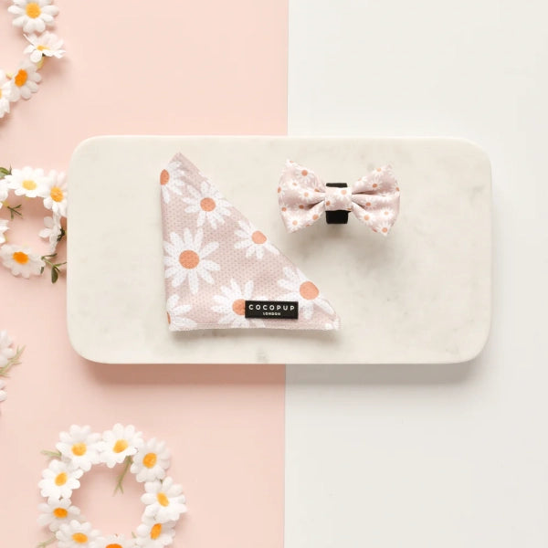 Bow Tie – Daisy Chain