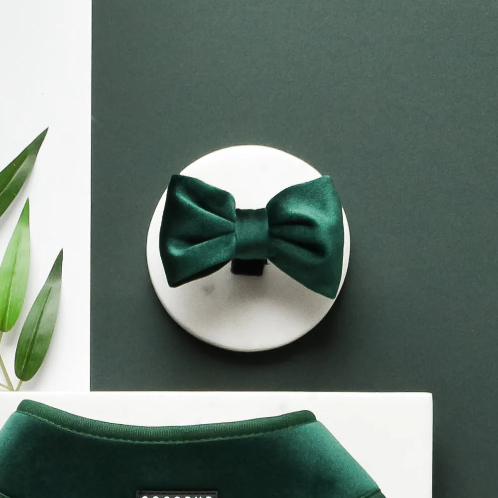 Cocopup London LUXE Bow Tie – Forest Green Velvet 3