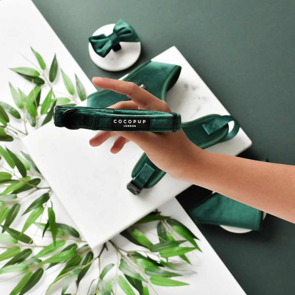 Cocopup London LUXE Dog Collar – Forest Green Velvet 2