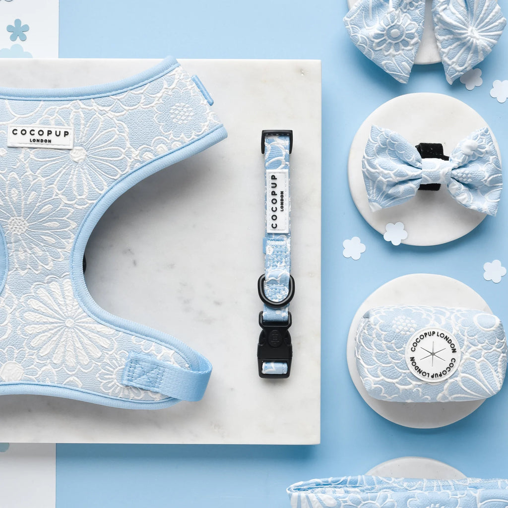 Luxe COLLAR - Baby Blue Flower