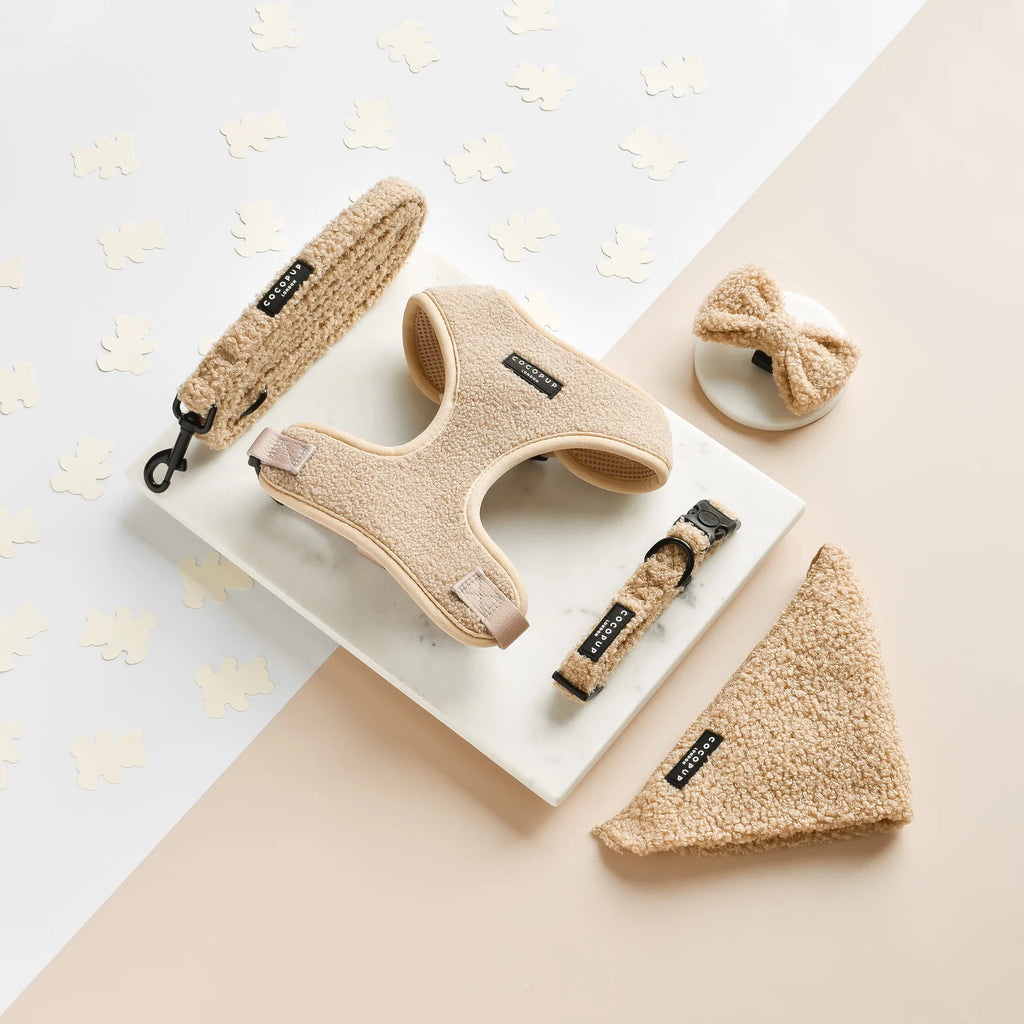 Bow Tie – Teddy Rupert