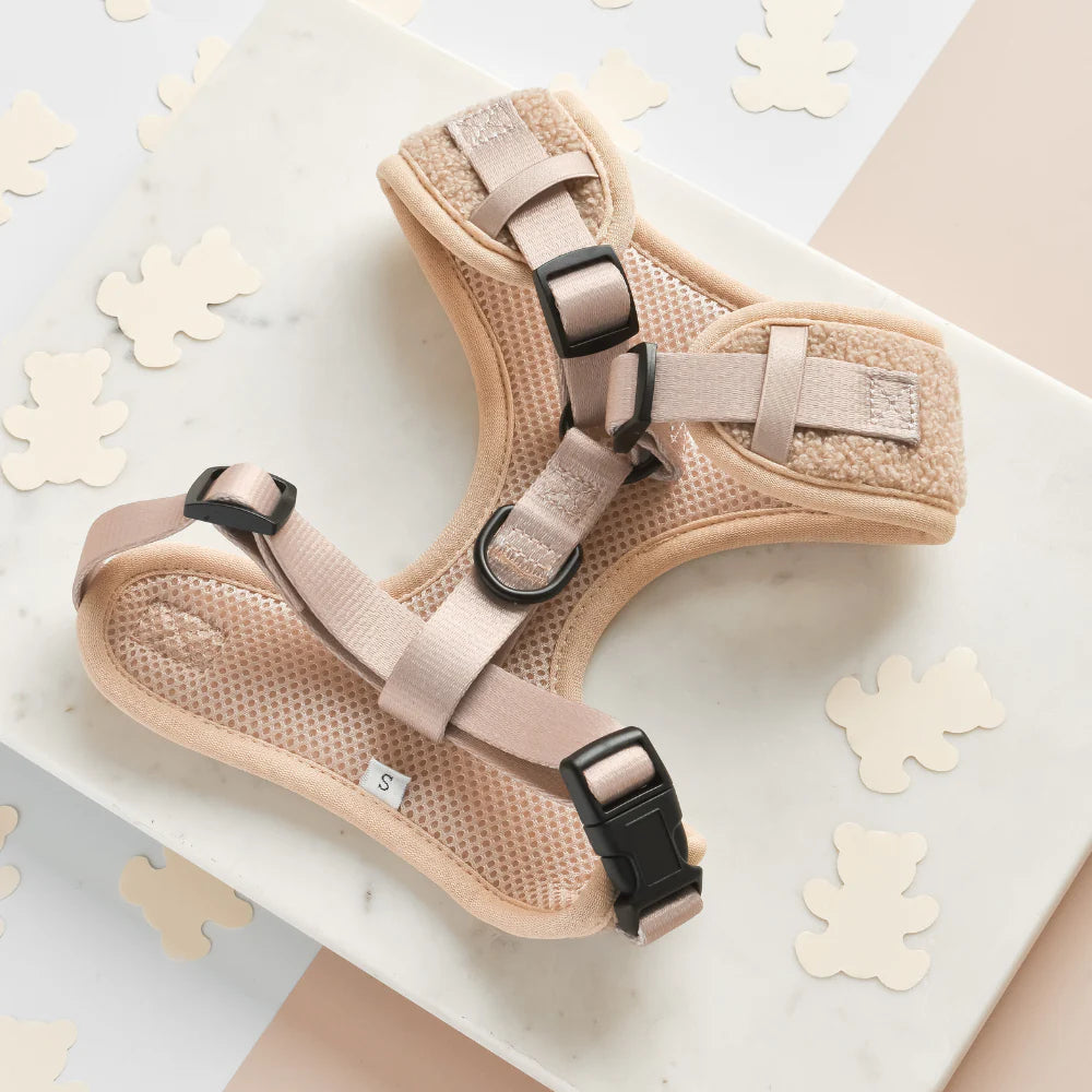 Adjustable Neck Harness – Teddy Rupert