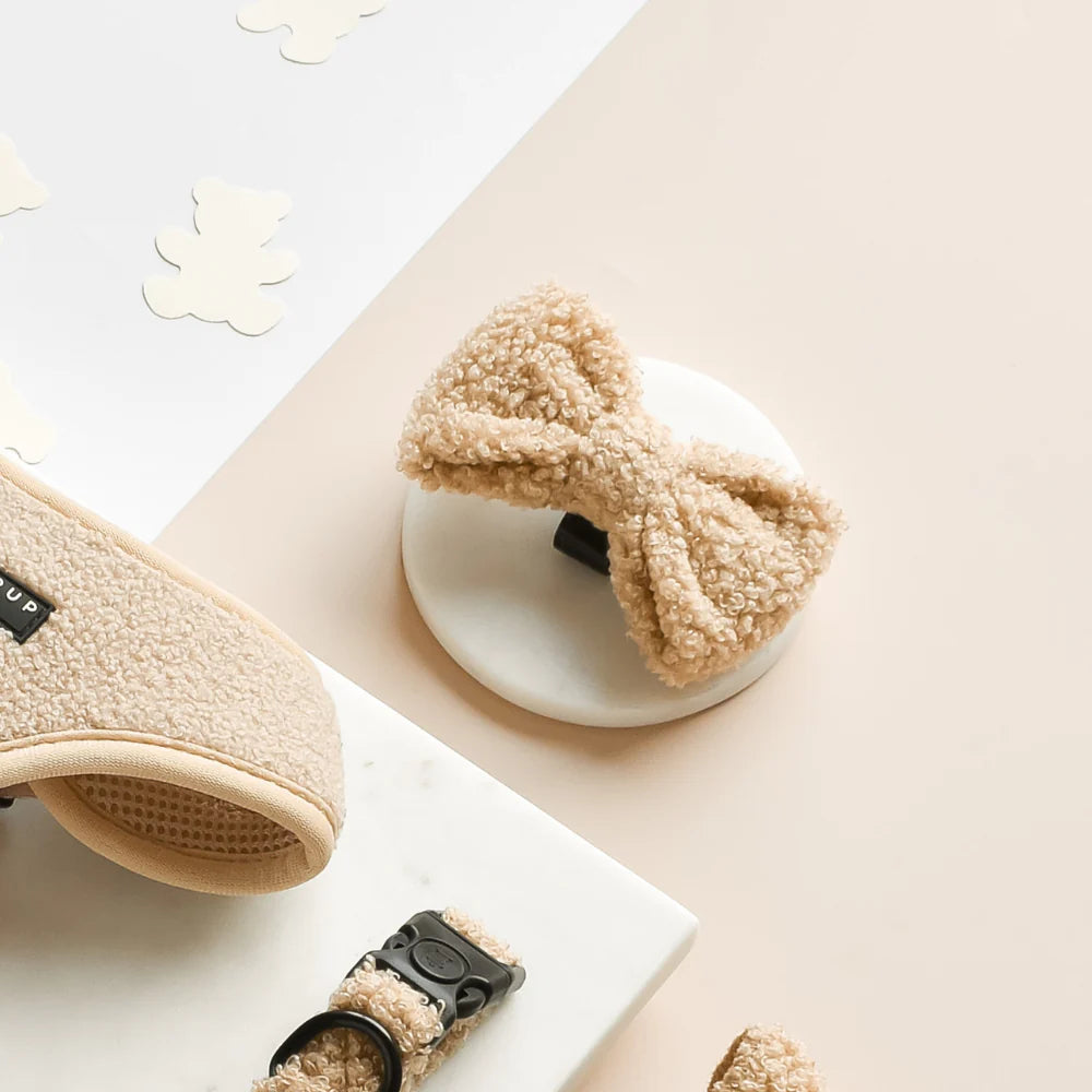 Bow Tie – Teddy Rupert