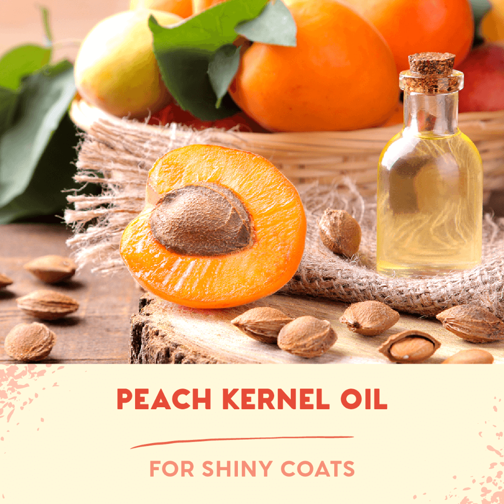 Pet Head Birthday Sparkle Edition Cotton Candy Shampoo 5