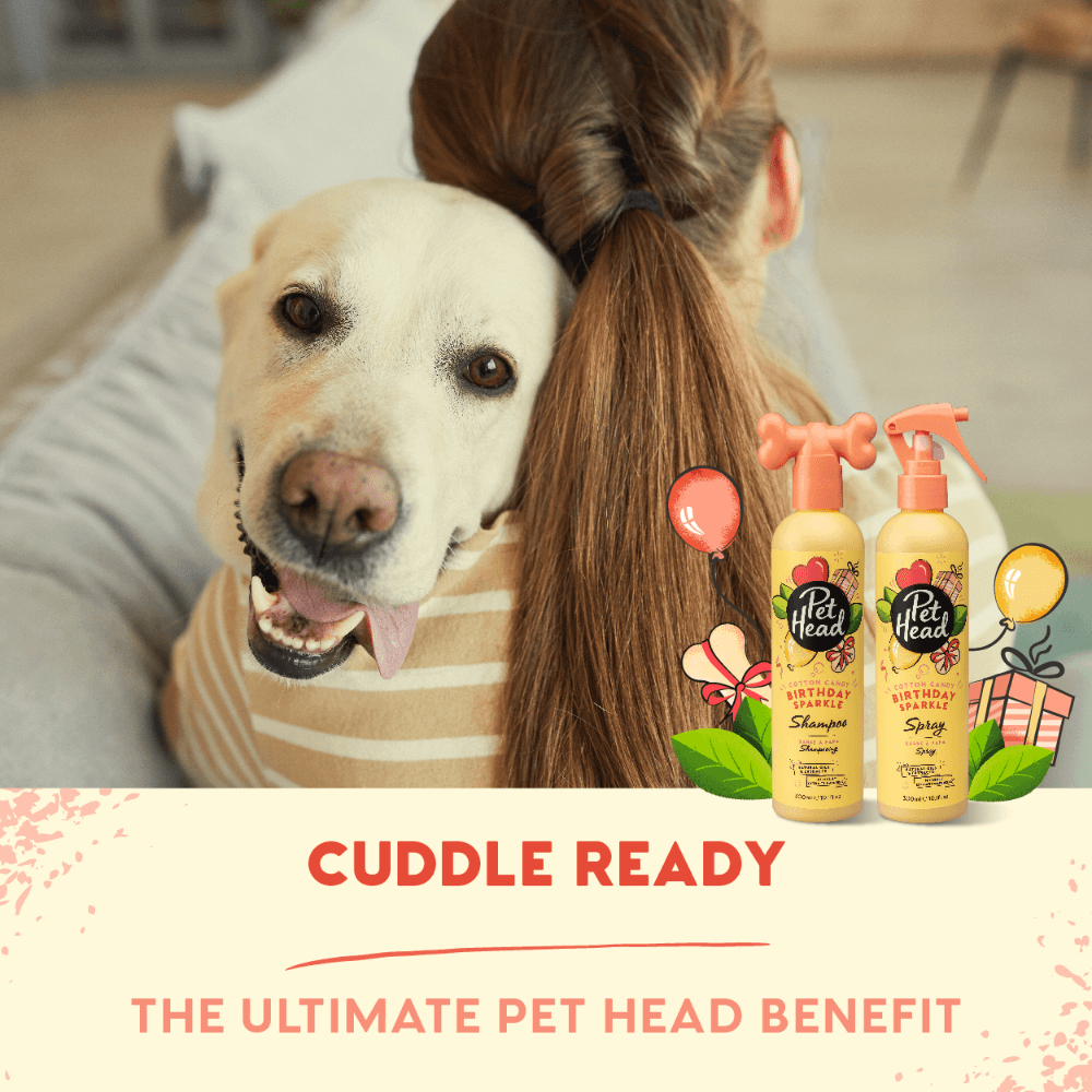 Pet Head Birthday Sparkle Edition Cotton Candy Shampoo 6