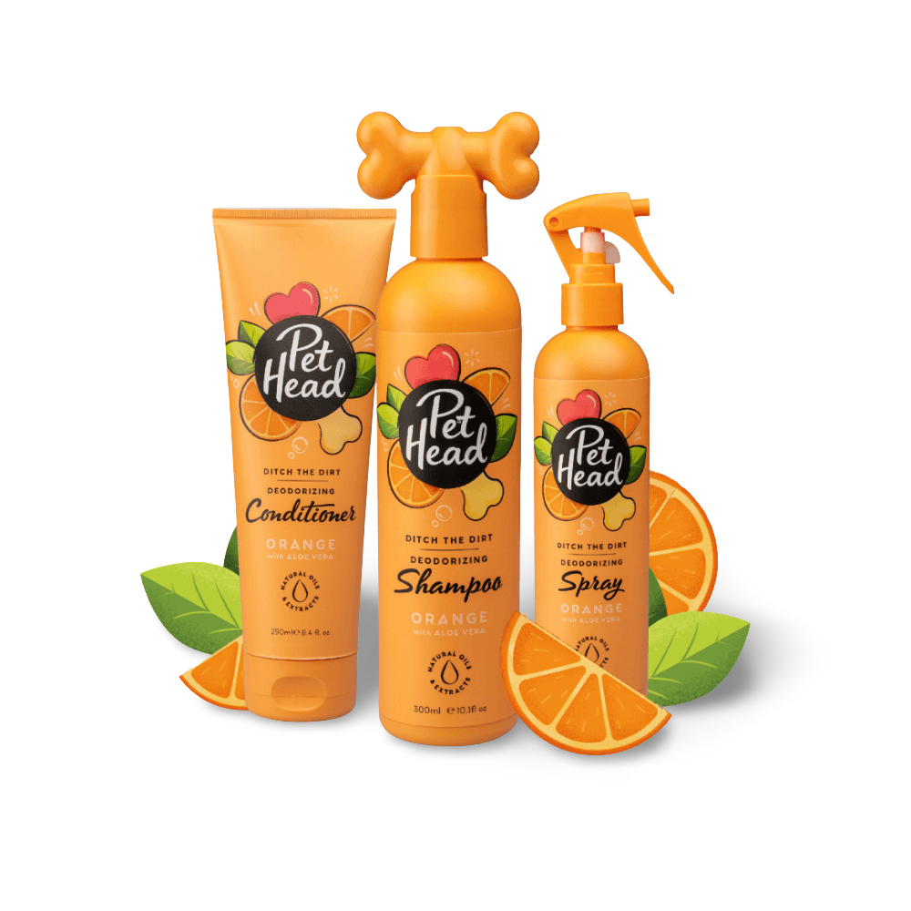 Pet Head Ditch The Dirt Orange Shampoo For Dogs 4