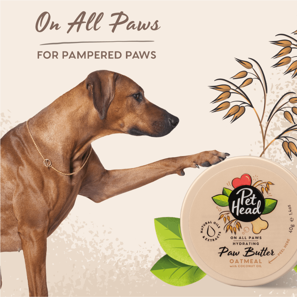 Pet Head On All Paws Oatmeal Paw Butter For Dogs 4