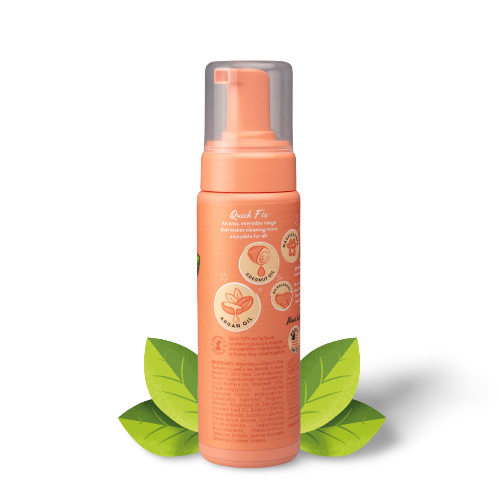 Pet Head Quick Fix Peach Dry Clean Foam For Dogs 2